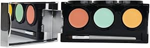 Dermaflage Color Correcting Concealer Palette for Dark Circles, Redness, Bruises, Dark Spots